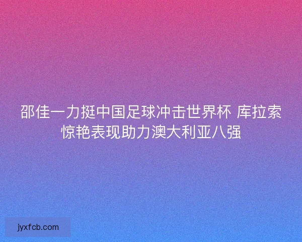 邵佳一力挺中国足球冲击世界杯 库拉索惊艳表现助力澳大利亚八强