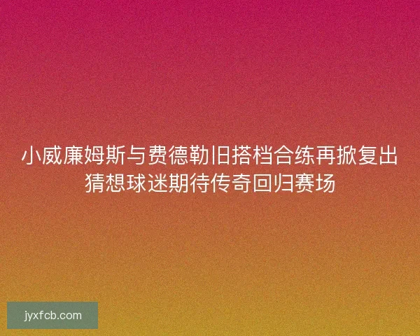 小威廉姆斯与费德勒旧搭档合练再掀复出猜想球迷期待传奇回归赛场